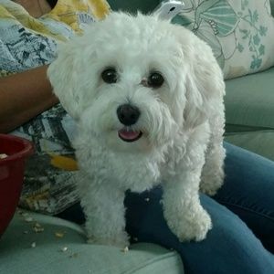 Meet your Posher, Alicia